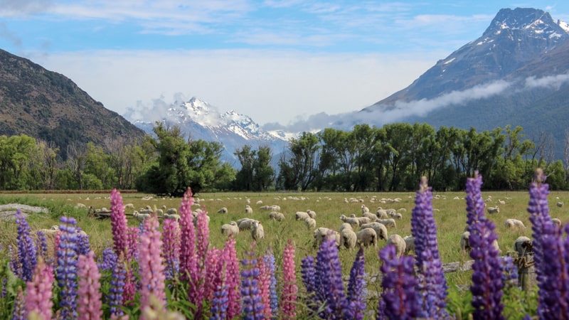 This once in a lifetime photography tour takes you on an incredible excursion to one of the worlds most picturesque photography spots, Queenstown's famous Paradise Valley!